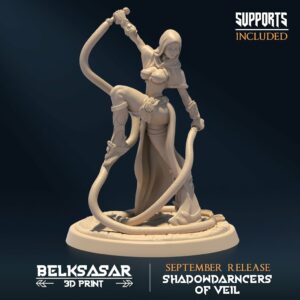 SHADOWDARNCERS OF VEIL - ASSASSIN V1